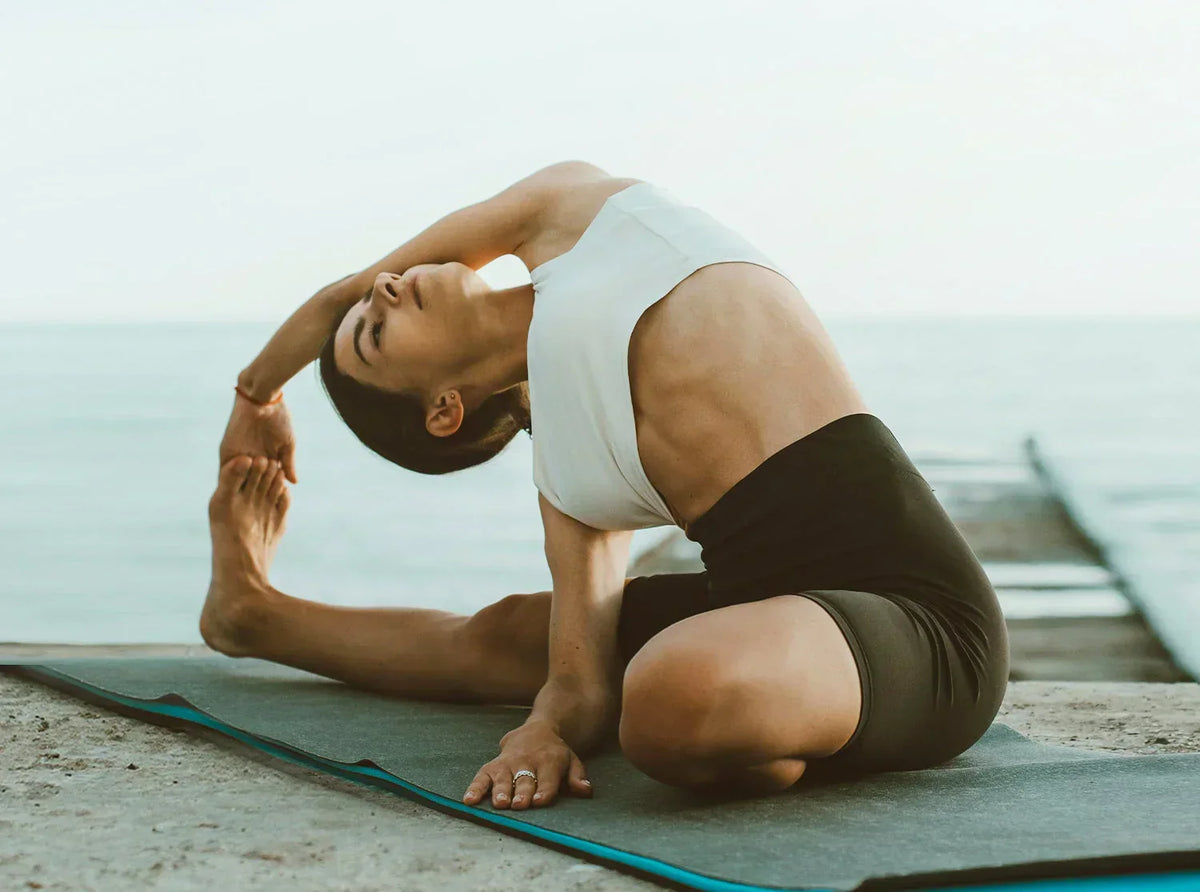 Gut Health and Whole-Body Vitality: A Science-Backed Nutritional Solution for Modern Lifestyles