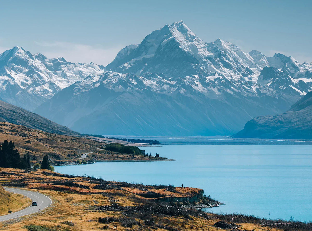OXYENERGY Story Starting from New Zealand: Let Gut Happiness Create Overall Wellness