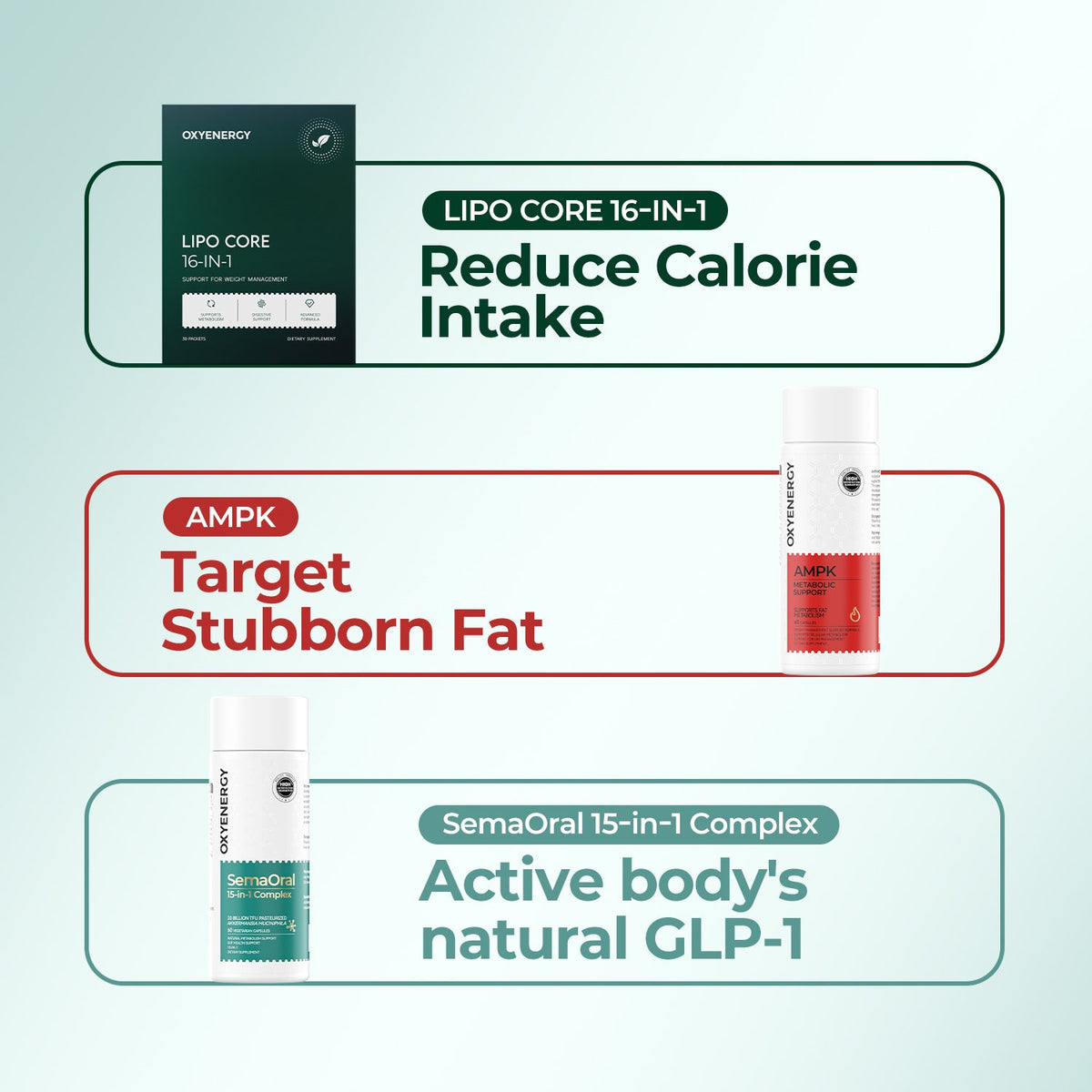 All-in-One Weight Management Bundle