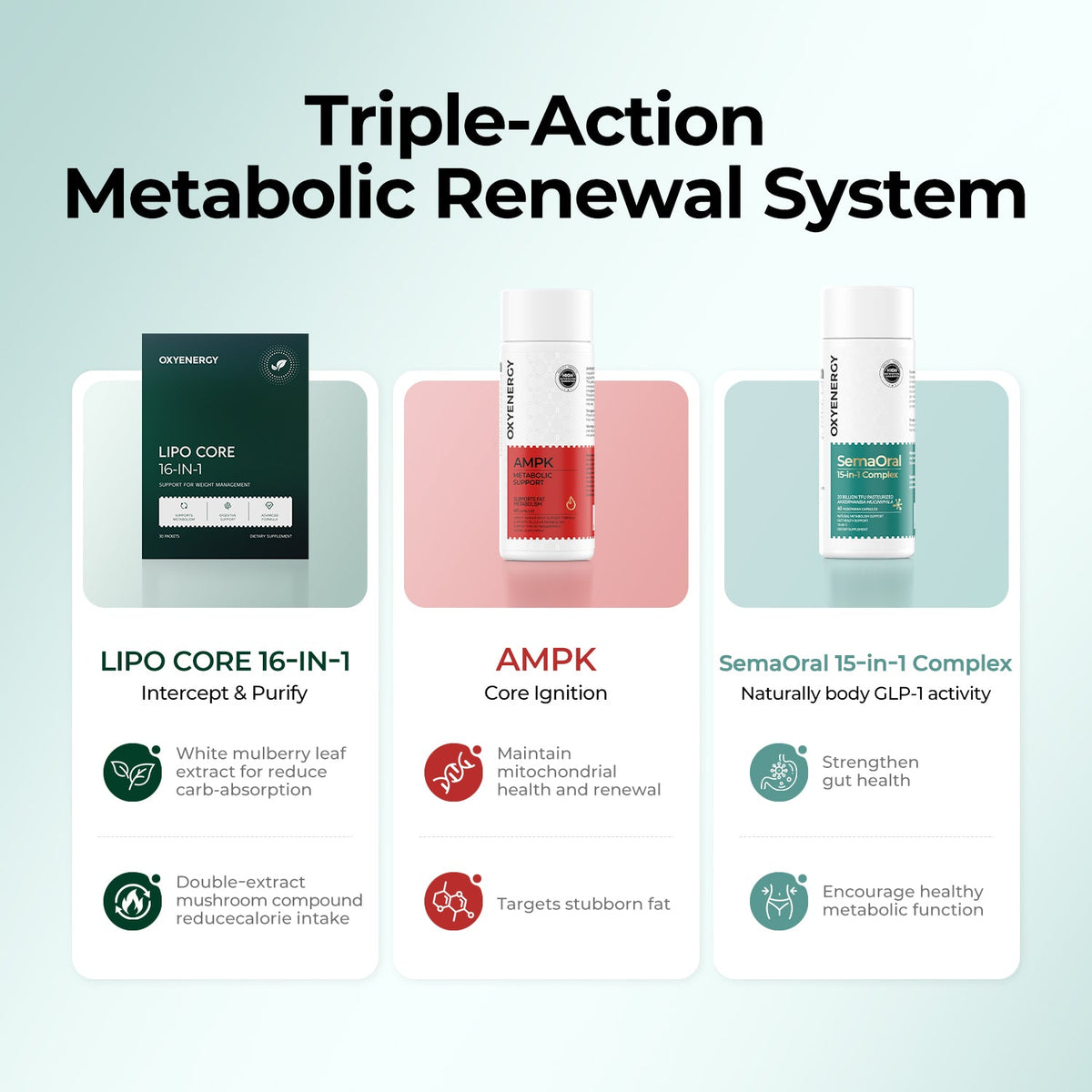 All-in-One Weight Management Bundle