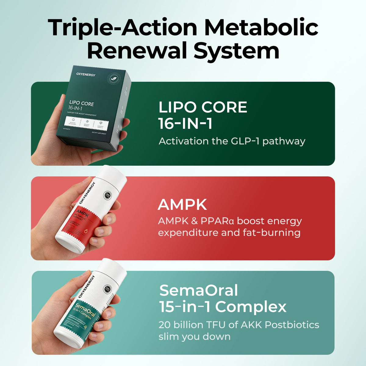 All-in-One Weight Management Bundle